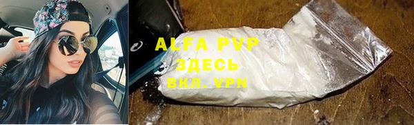 PSILOCYBIN Горнозаводск