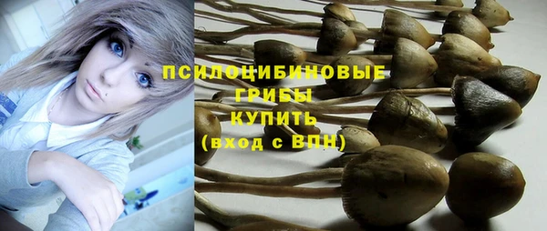 ALPHA-PVP Вяземский