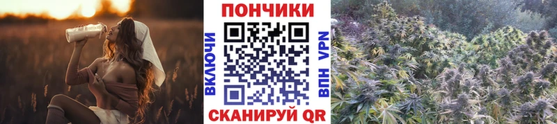 Каннабис семена  Верхнеуральск 